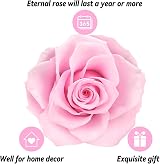 ADAZ Preserved Real Rose Gift Box with I Love You Necklace Handmade Eternal Rose view 5