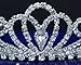SparklyCrystal Rhinestone Bridal Wedding Prom Crystal Crown Tiara 24326