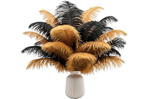 LAMAR FEATHER Lamar 20Pcs 12-14'' Black and Gold Ostrich Feathers - 1920s Style Gatsby Party Decorations, Masquerade Party Centerpieces, Great Gatsby Decor, Wedding, Party Supplies