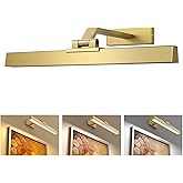 Afyuol Picture Lights for Wall, Brushed Gold Battery Operated Picture Light 16in Art Light CCT Dimmable Recharging Battery Wa