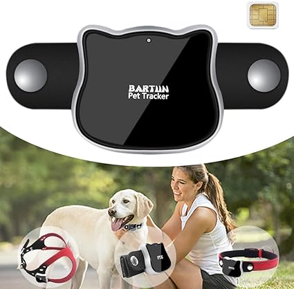 Bartun Collier Gps Pour Chien Et Chat Avec Suivi Dactivité