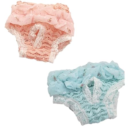Fully 2stk. Hundeschutzhose Monatshöschen Hündinnen Läufig Pant Sanitär Windel Physiologische Unterwäche Hygieneunterhose Für