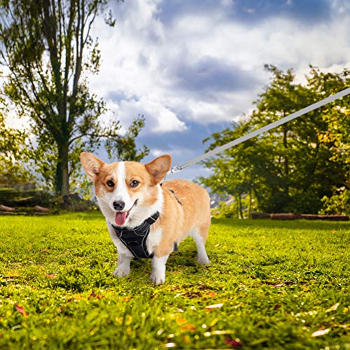 EXPAWLORER NoPull Dog Harness with 16ft Retractable Dog Leash