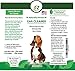 Dog Ear Cleaning Solution - Removes Dirt, Ear Wax and Odor - Great For Itchy Dog Ears - All Natural Dog Ear Wash - Soothing & Effective Pet Ear Cleaner