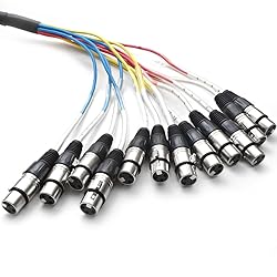 Seismic Audio - 12 Channel XLR Snake Cable - 15