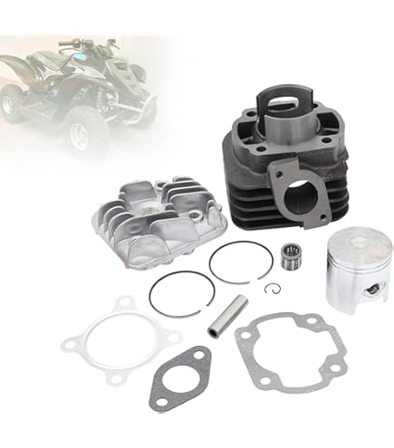 三彩蓋付大瓶 Amazon.com: WQSING 50cc 39mm Cylinder Kit Compatible with