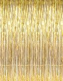 1 X 3' x 8' Gold Tinsel Foil Fringe Door Window Curtain Party Decoration