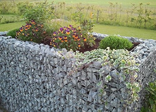 GABIONA | Gabionen-Hochbeet LxHxB: 130x50x80 cm | Eckiger Steinkorb als Pflanzkübel für den Garten | Maschenweite 5x10… – Bild 3