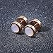ZS Rose Gold Men Women Stainless Steel Cheater Ear Plugs Gauges Illusion Tunnel Earring Studs (Black)