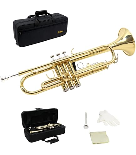 Trompette Si Bémol Débutant WUQIMUSC - Laiton Noir - Embouchure 7C - Étui Rigide Inclus