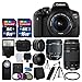 Canon EOS Rebel T6i 24.2MP Digital SLR Camera Bundle with Canon EF-S 18-55mm f/3.5-5.6 IS STM [Image Stabilizer] Zoom Lens & EF 75-300mm f/4-5.6 III Telephoto Zoom Lens and Accessories (18 Items)