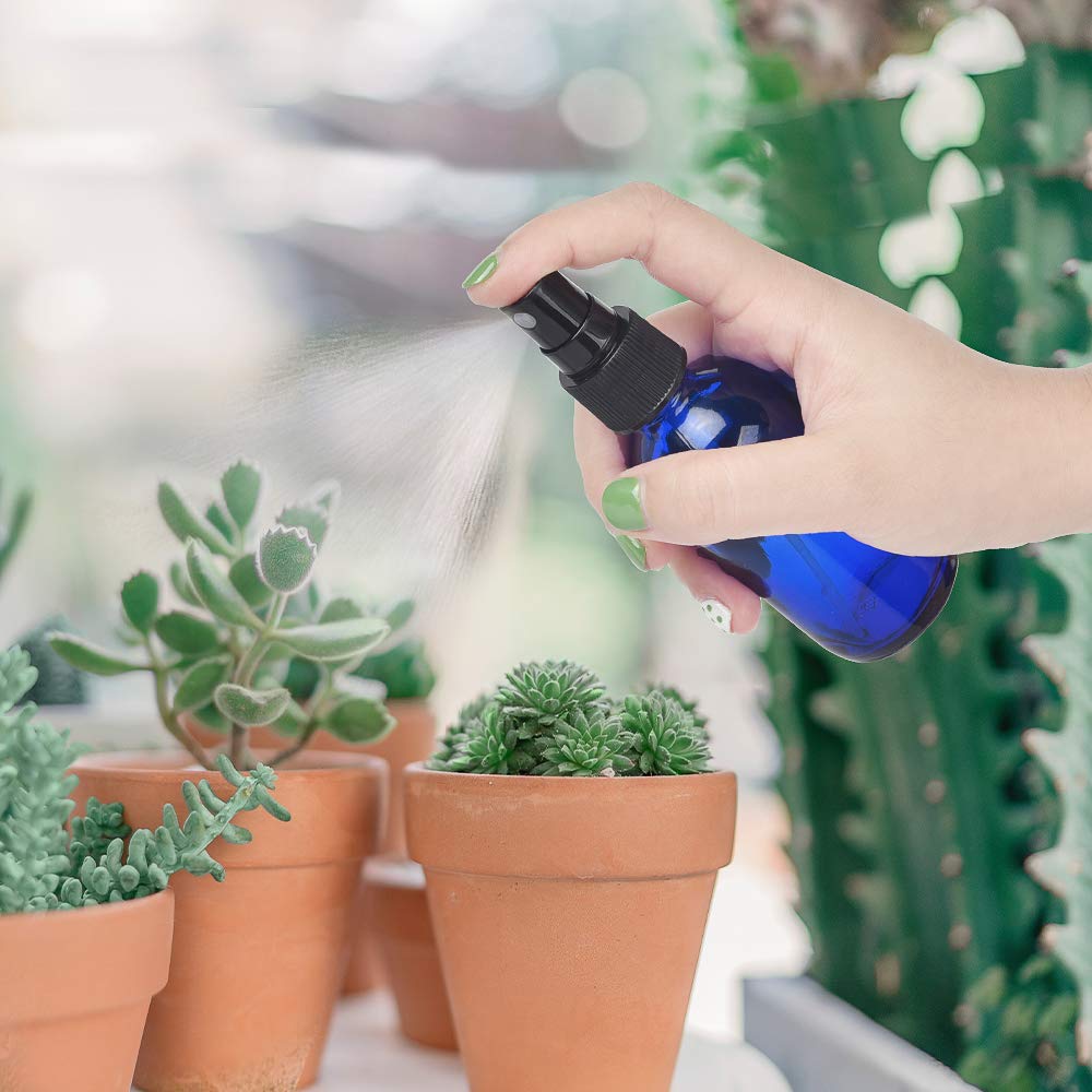 Empty spray bottles, 2oz Refillable Glass Spray Bottle is Great for Essential Oils, Beauty Products, Homemade Cleaners and Aromatherapy-12Pack (3 Funnels, 5 Droppers, 3 Extra Nozzles, Labels Included) : Beauty