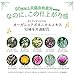 Moist Diane oil TR Botanical damage repair ring 480ml