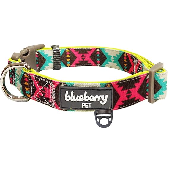 Blueberry Pet Retro Ethno-Muster Neopren-Gepolstertes Hundehalsband