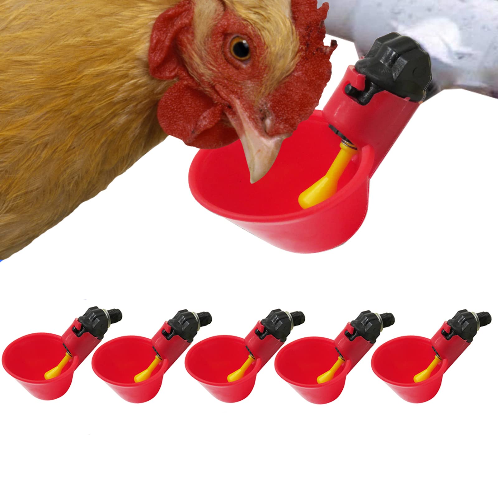 6pcs Automatic Chicken Drinker Cups, Automatic Poultry Drinker Feeder, Water Drinking Cups for Livestock Chicken Hen Duck Bird, Red Plastic Backyard Water Feeder for Bird Quail Pigeon Chicken Hen