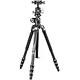Vanguard VEO3T+264CB Carbon Fiber Travel Tripod with Ball Head and Multi-Angle Center Column for Overhead Shots