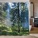 Bathroom Shower Curtain Misty Forest Bathroom Curtain with 12 Hooks, Sunshine Trees Shower Curtains Durable Waterproof Fabric Bath Curtain