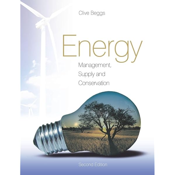 Amazon.com: Energy Systems Engineering: Evaluation and