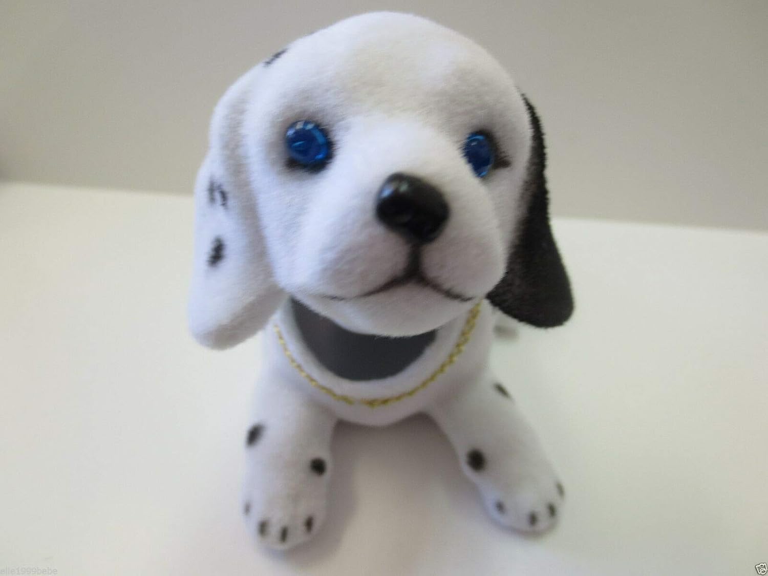 black and white beagle dog