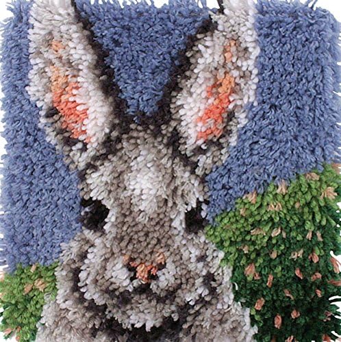 Beyond Your Thoughts 13 Model Latch Hook Kits for DIY Throw Pillow Cover Sofa Cushion Cover Owl/Dog/Cat/Bear/Bird with Pattern Printed 16X16 inch BZ853
