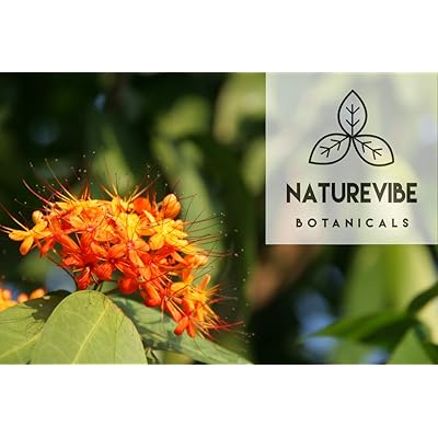 Buy Naturevibe Botanicals Ashoka Powder 8 Ounce Natural Saraca Indica Ayurvedic Herbal Powder Online In Turkey B07hl15kds