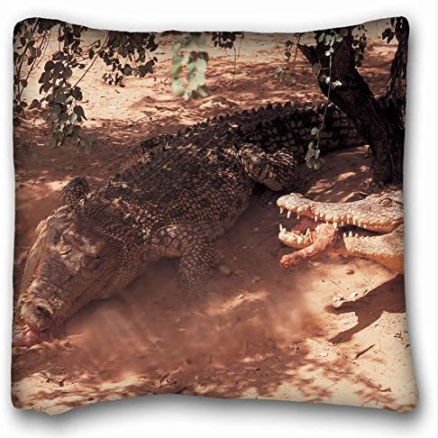 Decorative Square Throw Pillow Case Animals crocodiles shadow s meat lunch 18"*18" Two Side