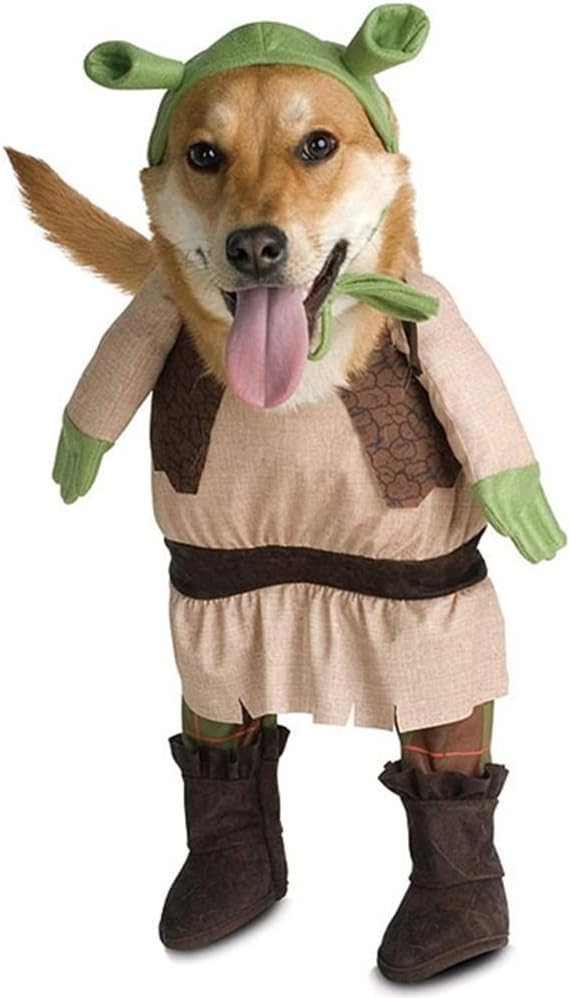 outfits for small dogs