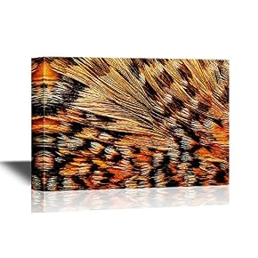 Colorful Feathers Premium