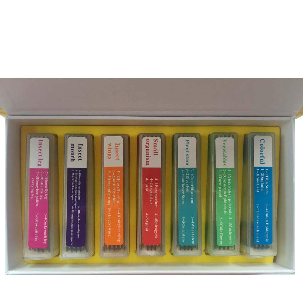 Hothuimin 35pcs Kids Prepared Microscope Slides Set Of Cell