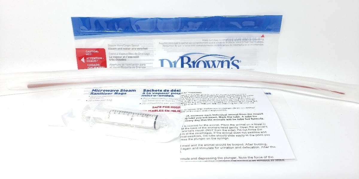 tube feeding neonatal kittens