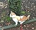 Mynwood Cat Jacket/Harness Caramel Adult Cat