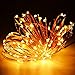 AKDSteel LED String Lights 33ft 100 LED Copper Wire Waterproof Dimmable Decorative Light with Remote Control and Plug for Bedroom, Patio, Garden, Party, Christmas, Wedding(UL Listed)