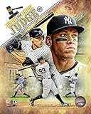 Aaron Judge New York Yankees 2017 Portrait Plus Photo (Size: 8" x 10")