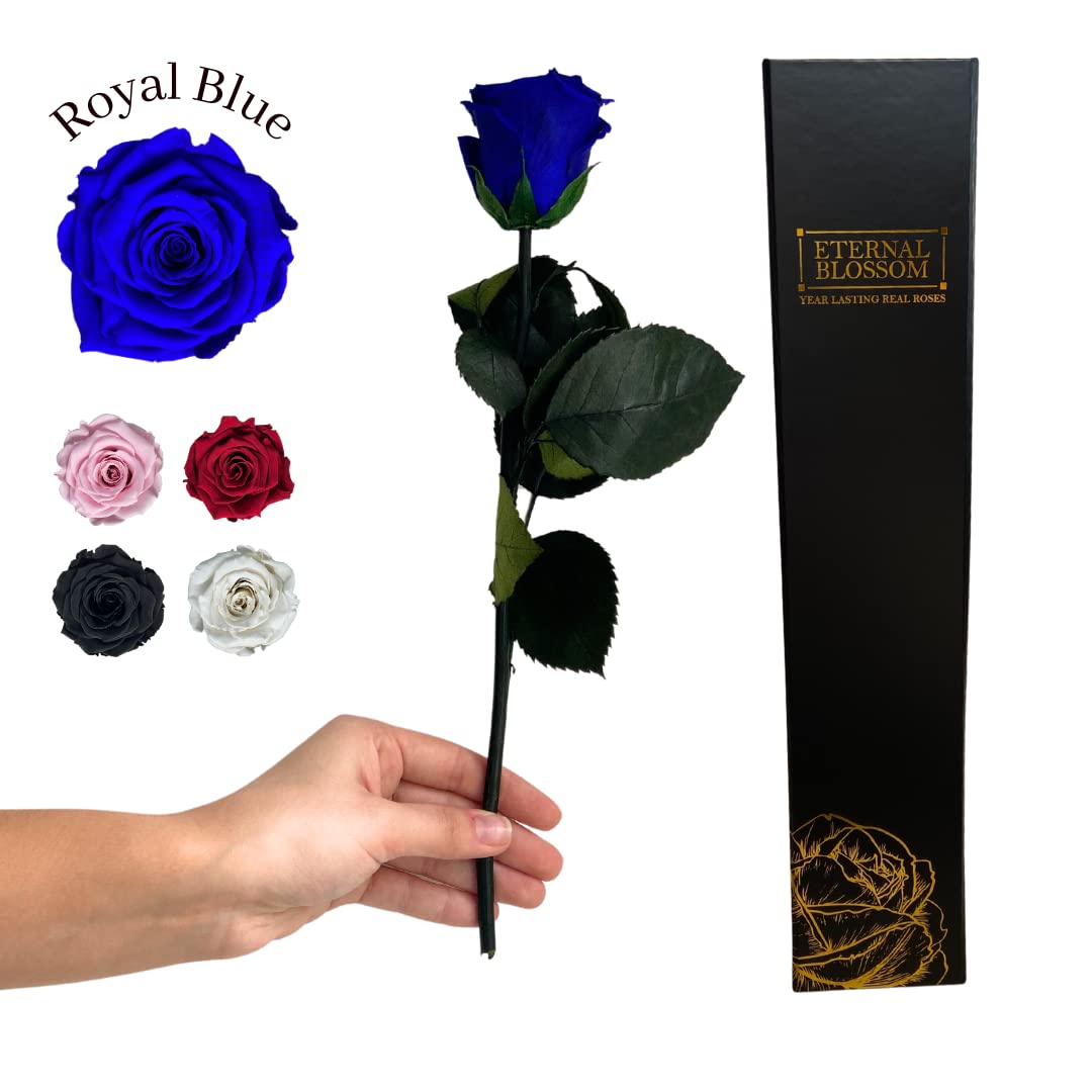 Eternal Blossom Preserved Real Long Stem Infinity Rose | Eternal Rose That Lasts Over A Year With Beautiful Gift Box (Royal Blue)