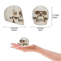 READAEER Resin Skull 4 pcs/Set, Mini Skull Model
