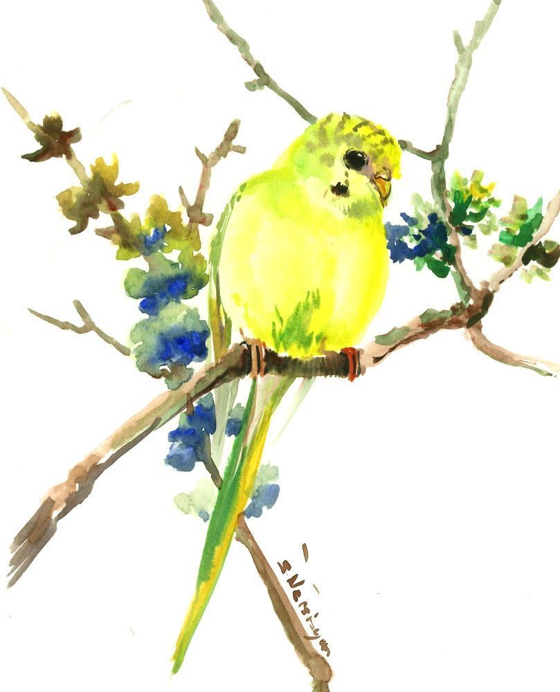 BUdgie, bird artwork, one of akind original watercolor art