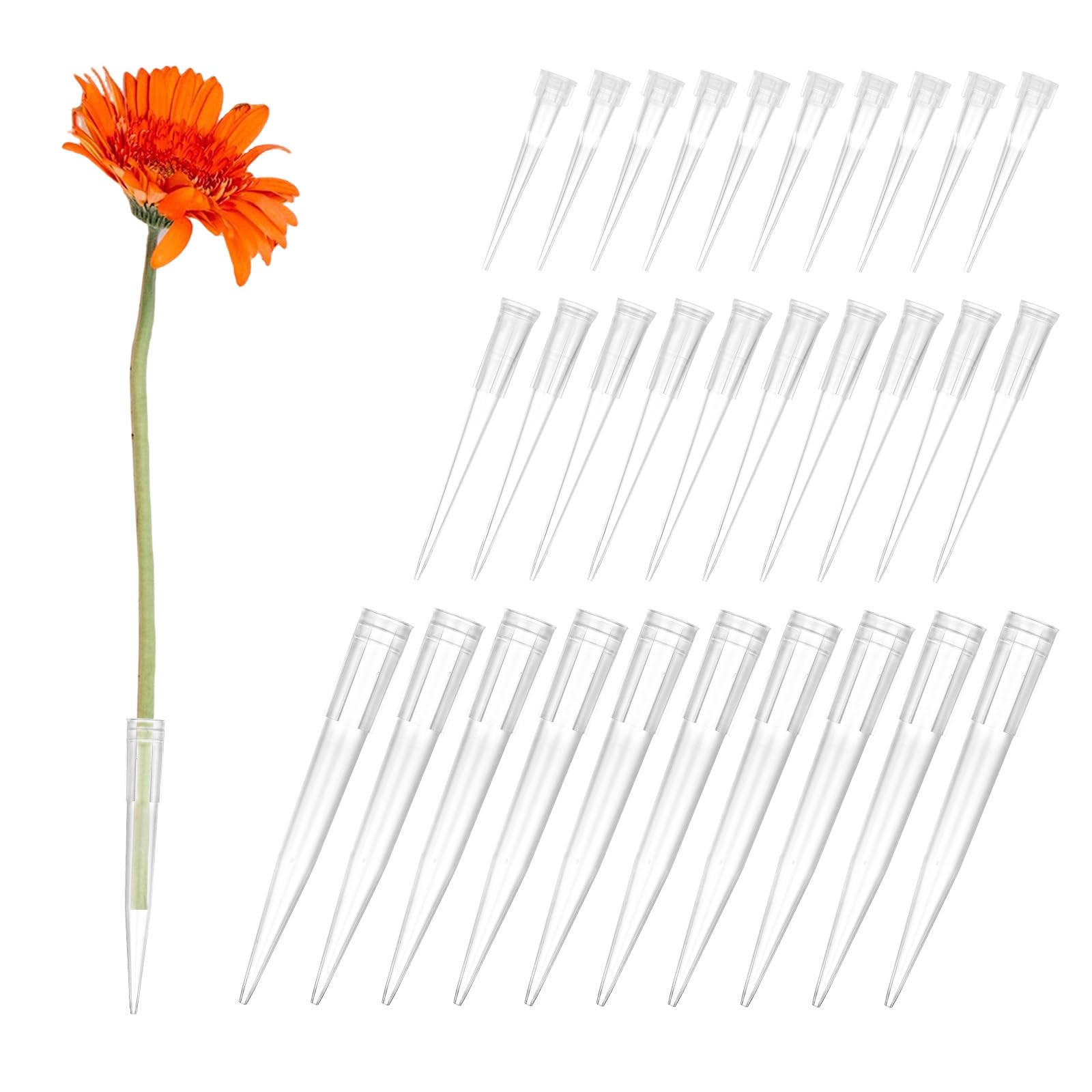 Photo 1 of Psyqtsuary 30 PCS Flower Tubes Plastic Floral Vials Pointed End Flowers Arrangement Holders for Cake Decoration Flower Arrangement Decoration(Clear, 1.2/2/2.8inch)