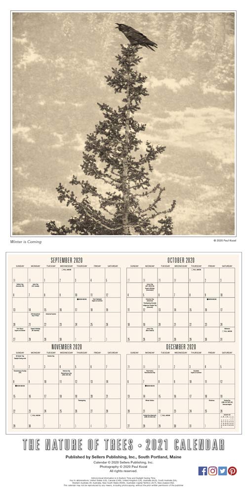 2021 The Nature Of Trees 16 Month Wall Calendar Kozal Paul 9781531910235 Amazon Com Books