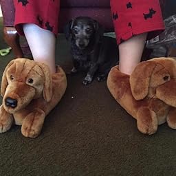 dachshund slippers amazon