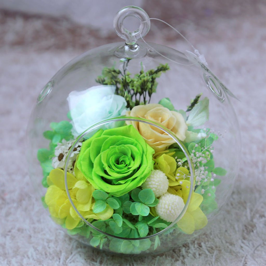 Love Mhys Love Flor Eterna Botella Colgante Rosas Frescas Regalos Unicos Vaso Hanabusa Micro Paisaje Productos Artesanales Decoracion Del Hogar Phincon Com