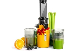 Ventray Ginnie Mini Cold Press Juicer, Small Slow Masticating Juicer for Vegetables and Fruits, High Juice Yield, Easy to Cle