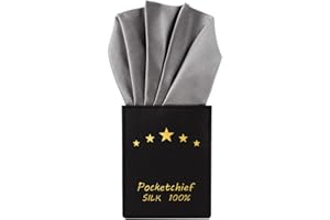 VICHERIA Pre-Folded White Silk Pocket Squares for Men, Handkerchief Accessories Pocket Square Holder for Men's Suit, Jacket