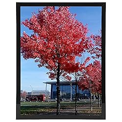 Medog 11x14 Picture Frame Black Set of 2 Display