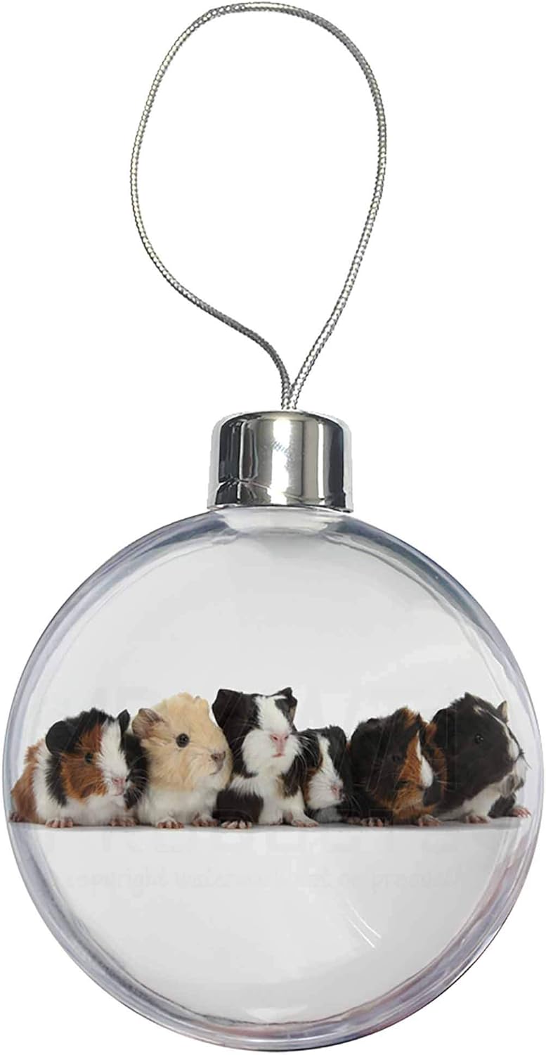 guinea pig sweater amazon