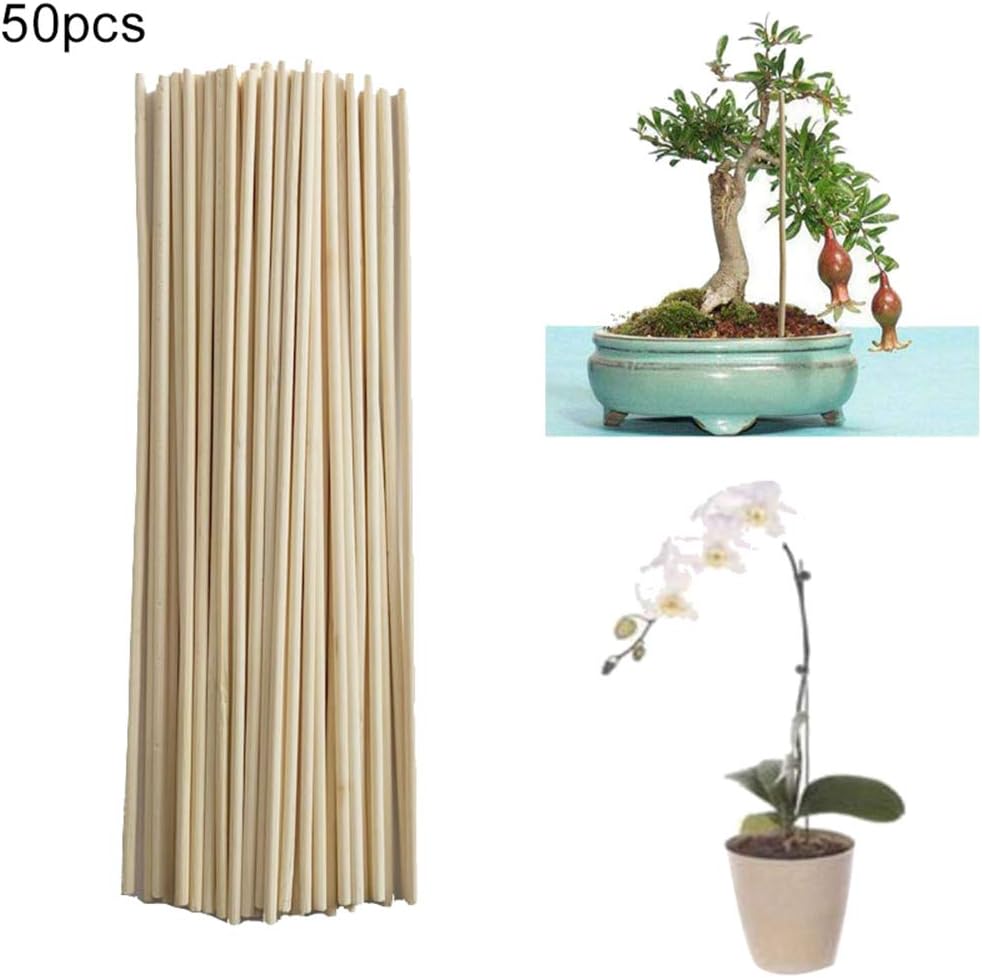 Newrys 50Pcs Plant Support Stakes, Garden Single Stem Support Stake, Bamboo Plant Grow Support Sticks Garden Potted Flower Canes Rod Tools 50pcs