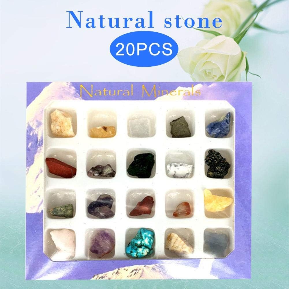 voloki Natural Stone Gemstone Irregular Mini Ores Assorted Box Set 20PCS Natural Stone Collection for Reiki Crystal Jewelry Making Home Decoration Attractive