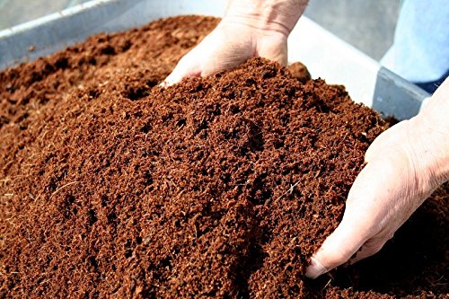 Plantonix Coco Coir Brick, OMRI listed for Organic Use (10 Bricks) - Thumbnail 2