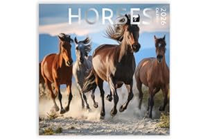 ARTICO Horses Calendar 2026, Large 12 x 12 inch, Horse Wall Calendar, Gift for Horse Lovers, Cute Calendar for girls