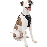 Kurgo Enhanced Strength Tru-Fit Dog Car Harness - Pet Travel Safety Harness - Crash Test Certified Fit - Five Point Adjustmen