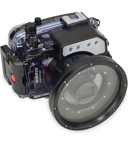 Amazon.com : Sony MPK-URX100A Underwater Housing - Black : Electronics